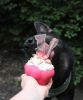 Ultra Sweet "Cupcake" Dog Treat Dispenser by MKB in Pink-Lrg