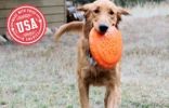 "Bottle Top" Flyer Retrieve Dog Toy by SodaPup - Small Orange