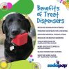 Dog Chew Toy-Treat Dispenser by SodaPup-Lrg "Gift Box" Shaped