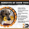 "Shovel" Dog Chew Toy by ID - Ultra Durable Nylon in Yellow