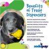 "Honey Bear" Dog Treat Toy in Yellow by SodaPup - Medium