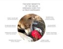 "Magnum Grenade" Dog Treat Toy-USA-K9 M Chew Fetch-Pink