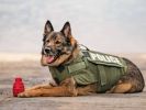 "Magnum Grenade" Dog Treat Toy-USA-K9 M Chew Fetch-Pink