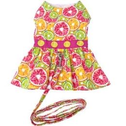Citrus Slice Dog Dress with Matching Leash (Size: X-Large)