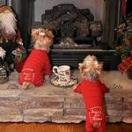Christmas Dog Pajama - Santa's Lil' Helper (Size: large)